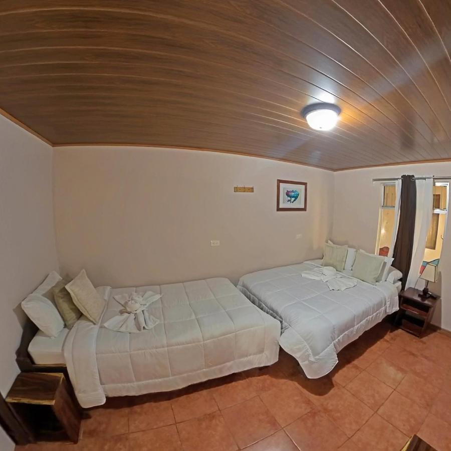 Casa Jungle Monteverde B&B Екстер'єр фото