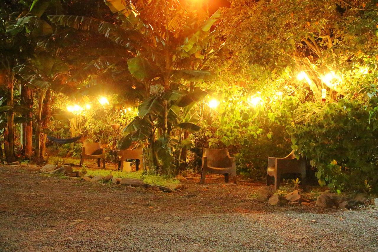 Casa Jungle Monteverde B&B Екстер'єр фото