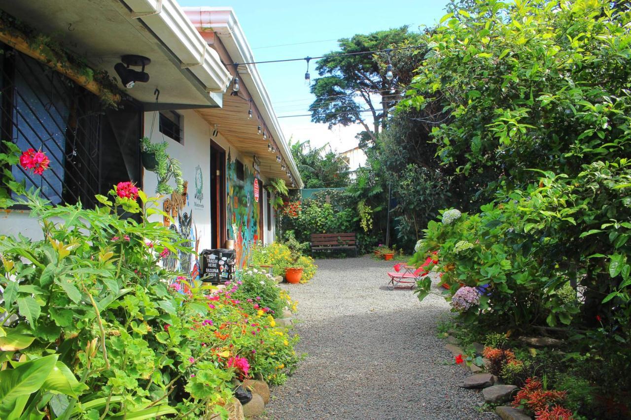 Casa Jungle Monteverde B&B Екстер'єр фото