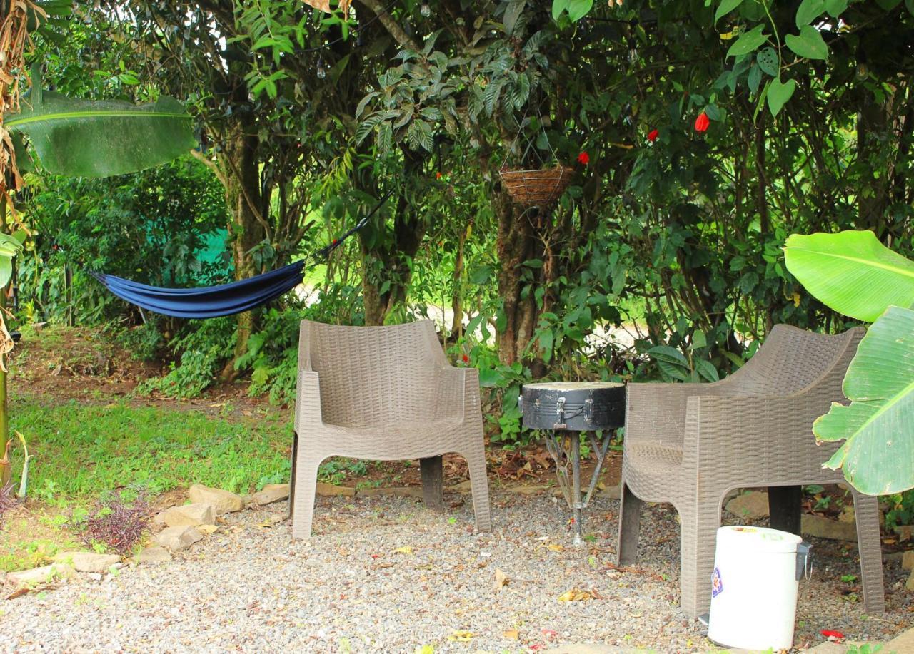 Casa Jungle Monteverde B&B Екстер'єр фото
