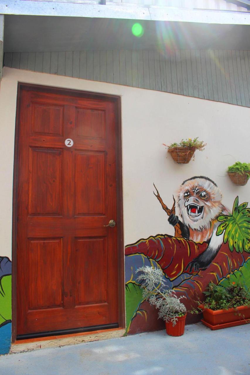 Casa Jungle Monteverde B&B Екстер'єр фото